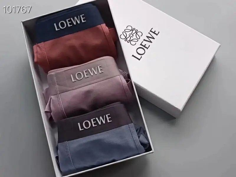 loewe sous vetementss pour homme s_12114024